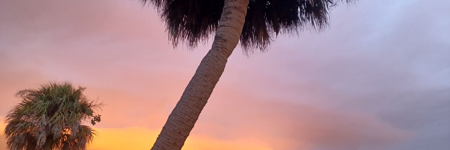 RecursiveSim's profile banner image