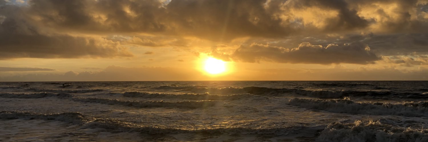 Pharm D 🧱⚒️ banner