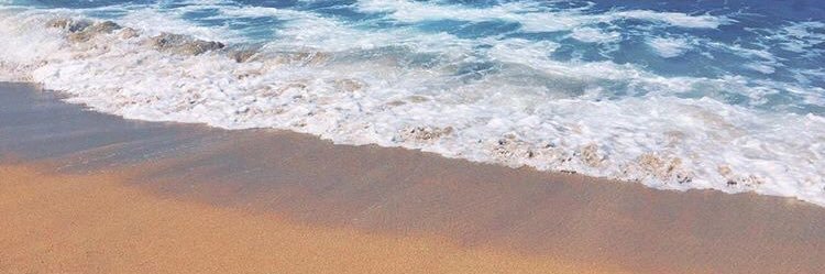 ItsTypicalTiff's profile banner image
