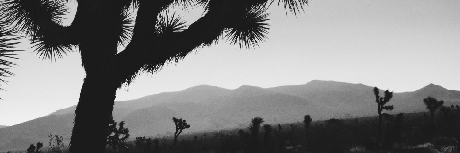 RobbieCruso's profile banner image
