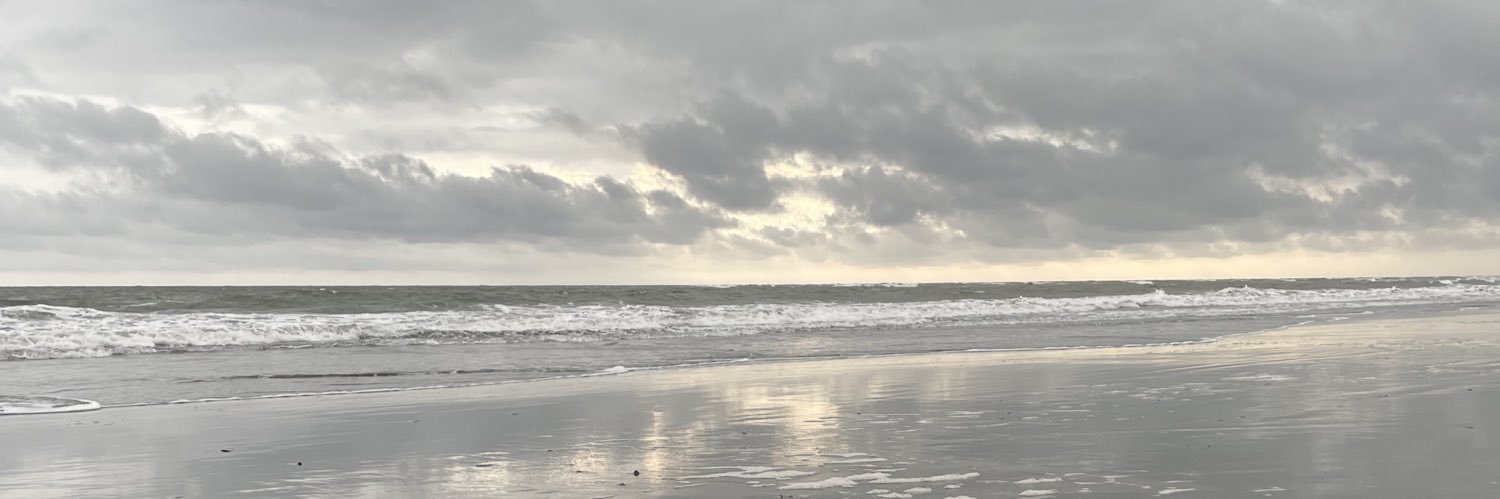 Roudelloortega2's profile banner image