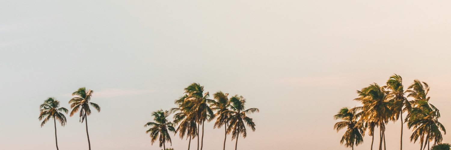 D. banner