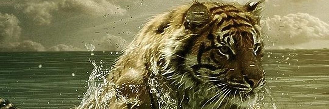 Almudena_Pe_Te's profile banner image