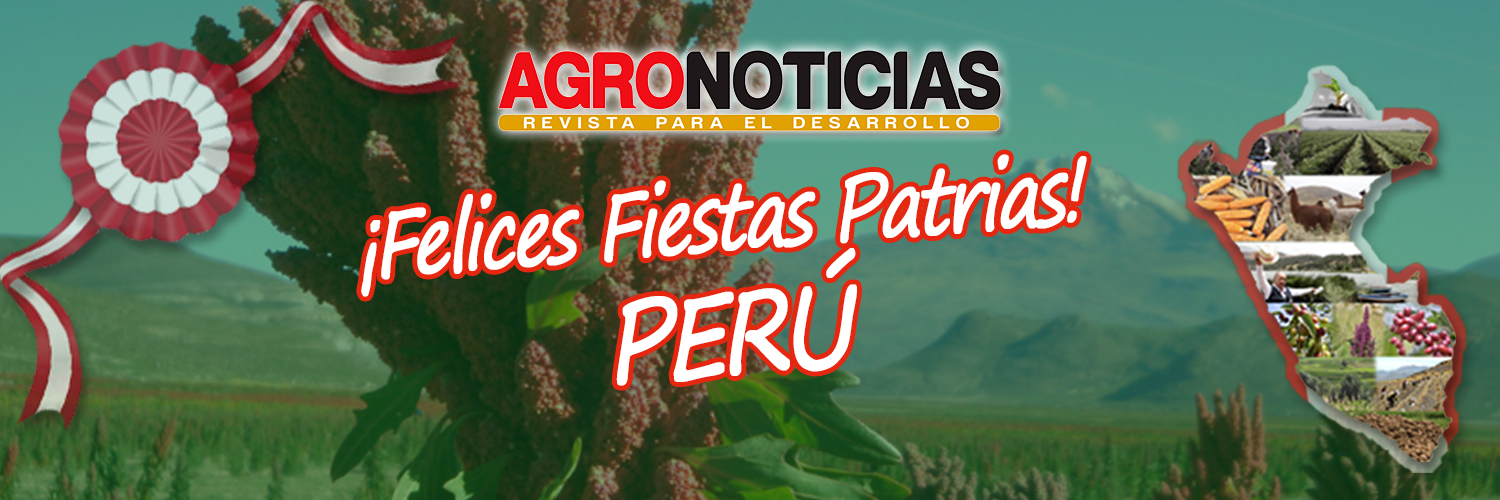 Agro_Noticia's profile banner image