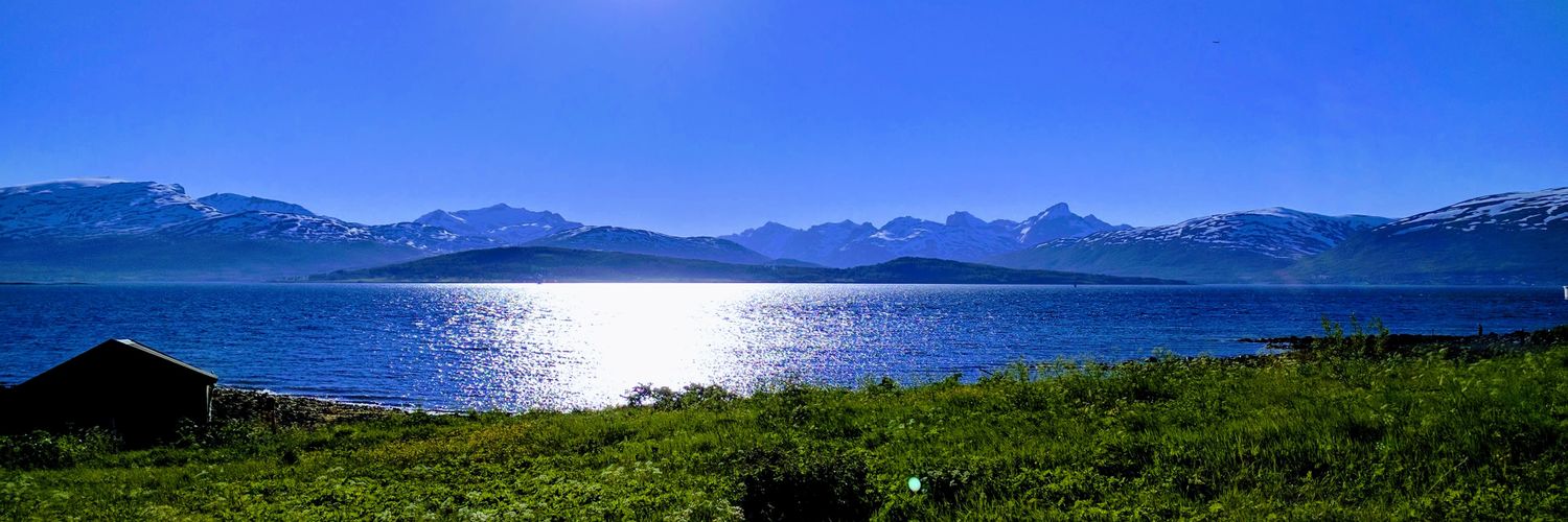 vegar_wang's profile banner image