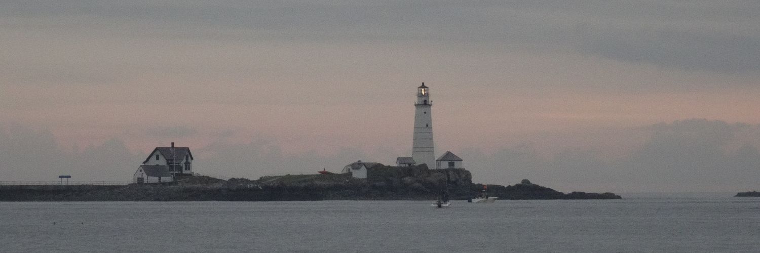 Boston Light Swim banner
