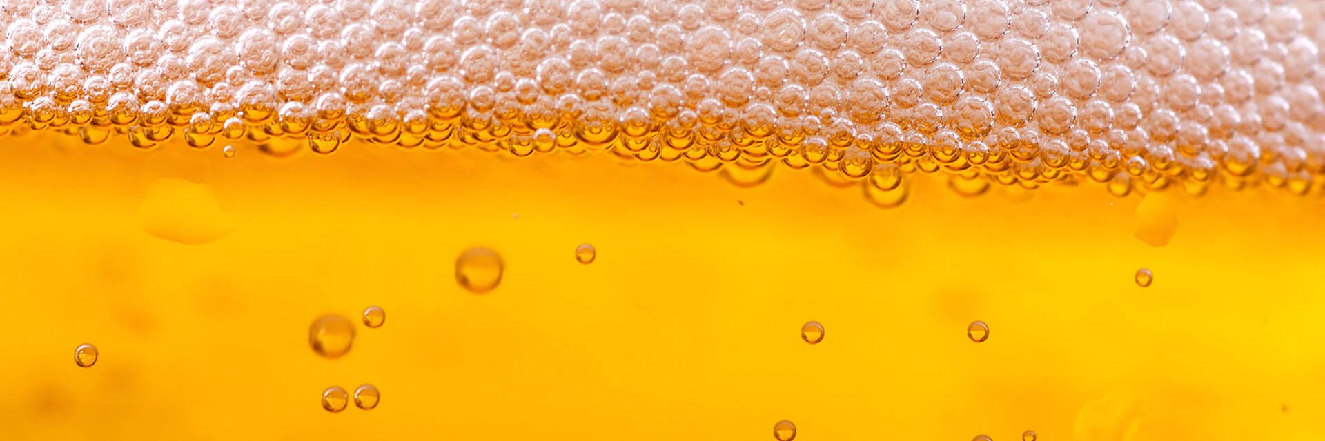 MontclairFW's profile banner image
