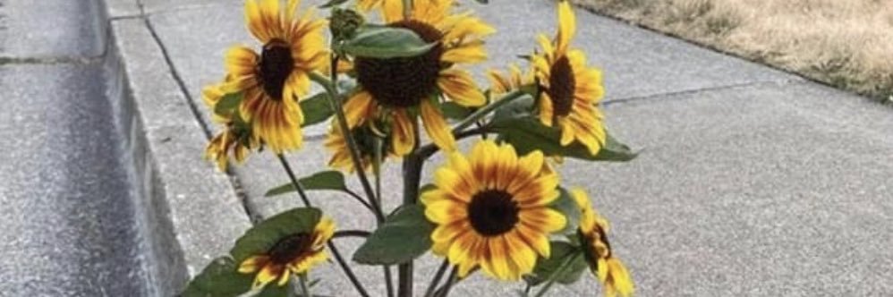 Kleast's profile banner image