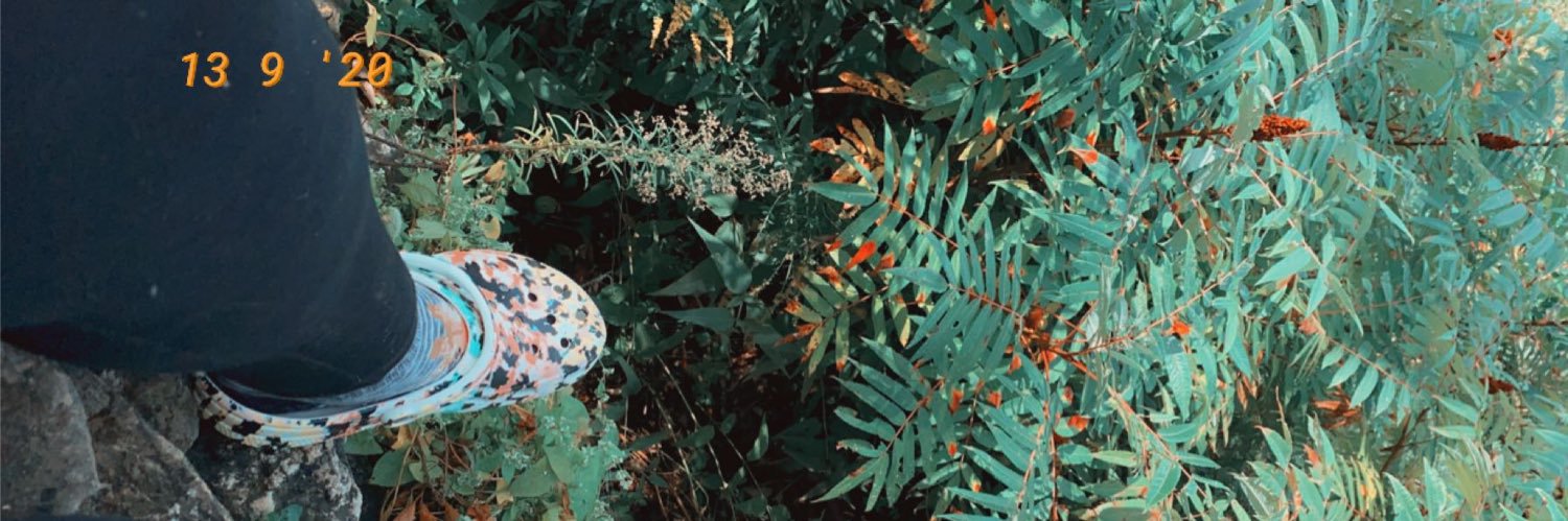 Shellby Lynn banner