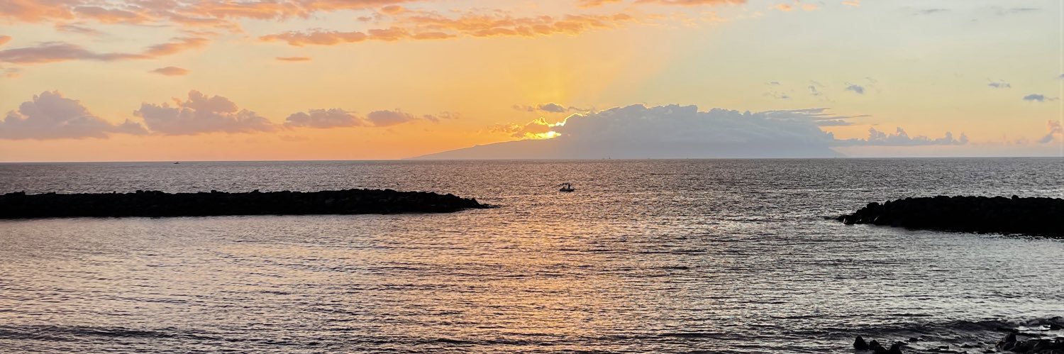 DOMINICKEHOE's profile banner image