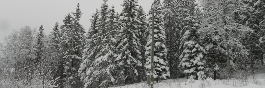 SwisscarMb's profile banner image