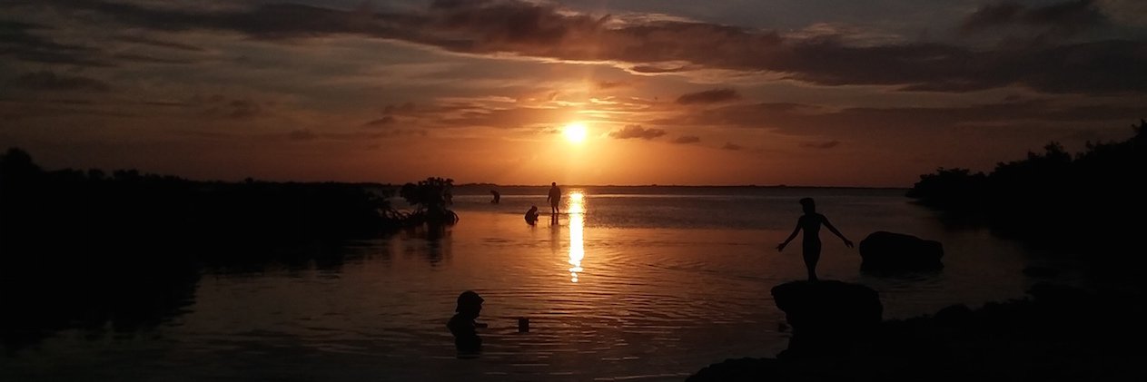 dangloeckner's profile banner image