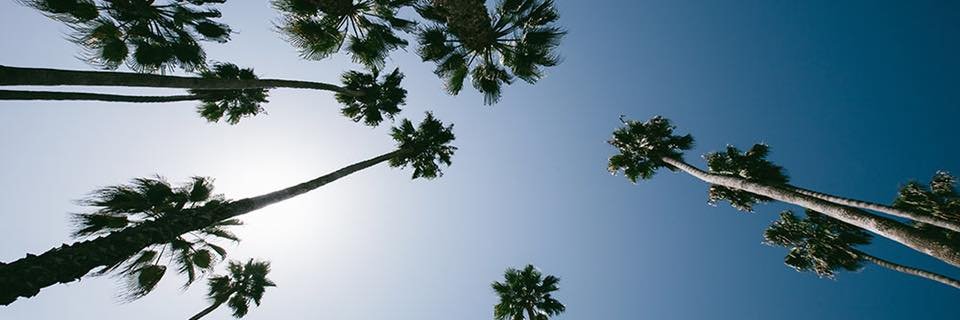 HeatherBadower's profile banner image