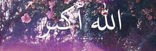 muhammadraoofs1's profile banner image