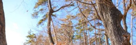 DoSMinako's profile banner image