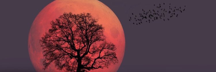 brandonbotenold's profile banner image