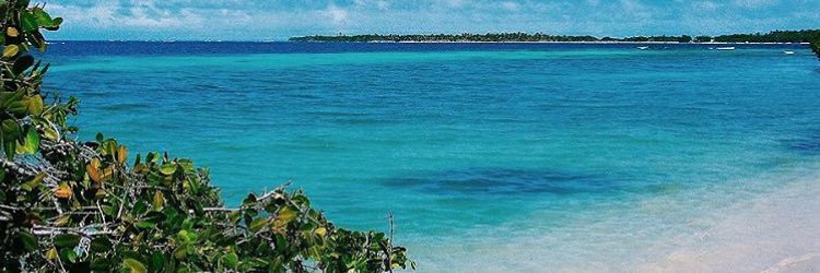jennymoroco's profile banner image