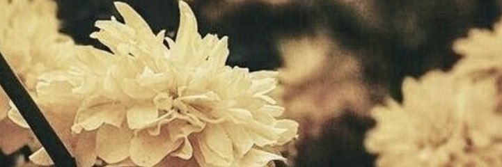 _kylala_'s profile banner image