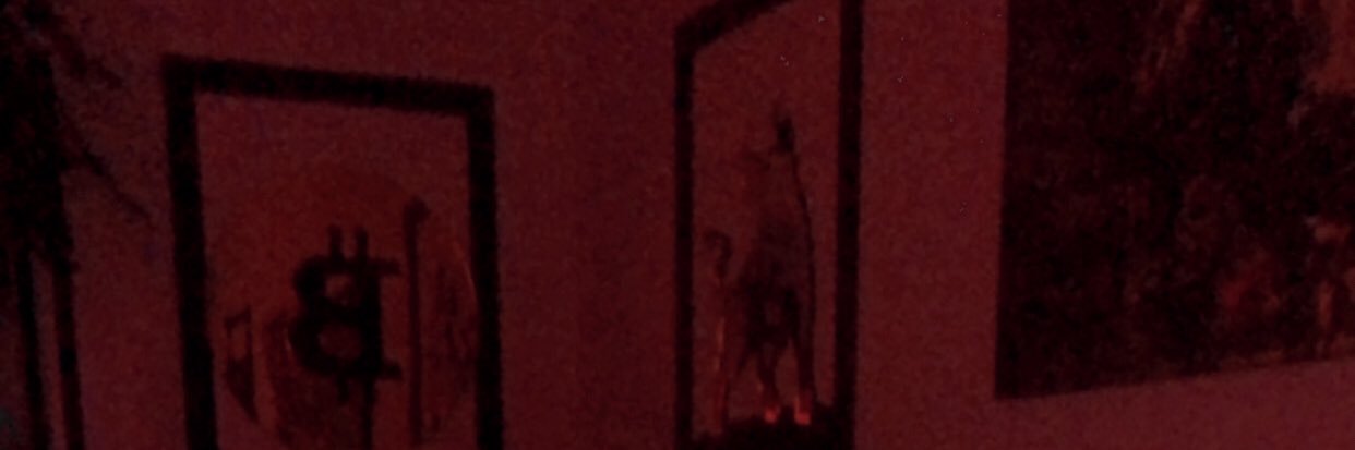 Brochi banner