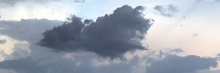 SkCoq's profile banner image