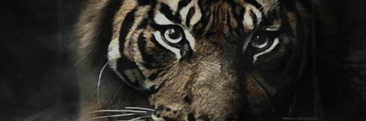 malcolm_TG's profile banner image
