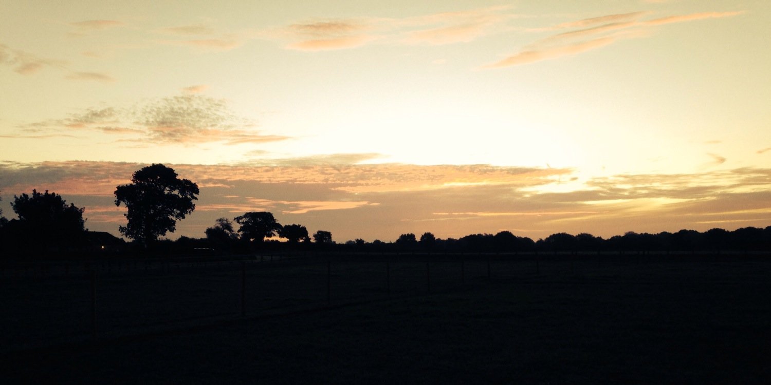 Robyn00's profile banner image