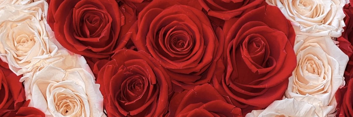 Deja's banner