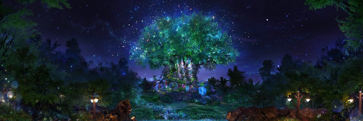 AmyNaz6's profile banner image