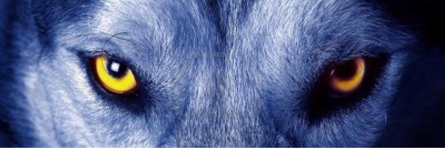 TwanDawg2's profile banner image