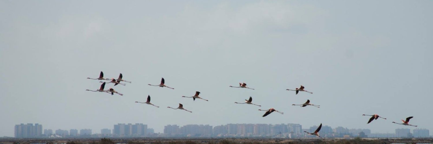 Pablo Chico de Guzman banner