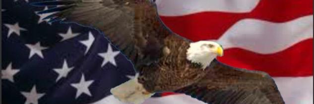 things_American's profile banner image