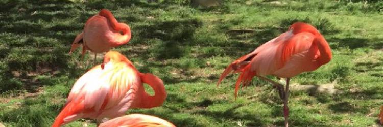MandySoDandyX's profile banner image
