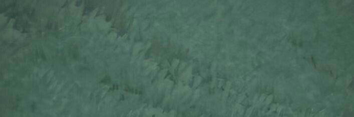 psp_pang's profile banner image