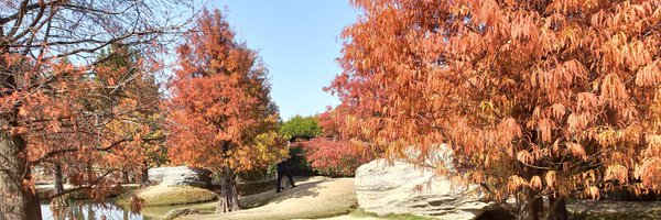 ae19900517 Profile Banner