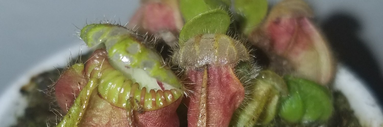 Vincent Antonio Brazelton Jr. banner