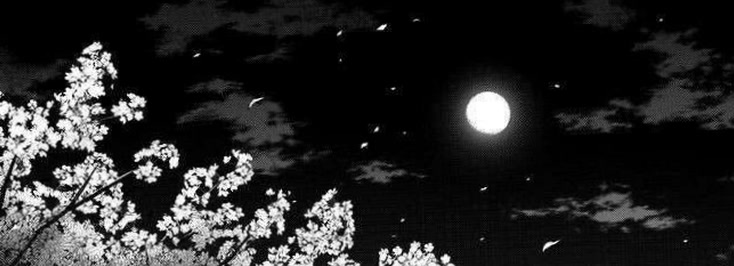 mapleluna17's profile banner image