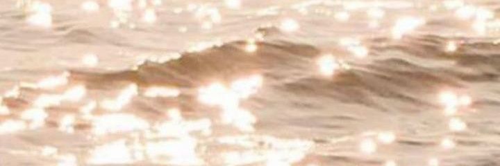 KongoCitizen's profile banner image