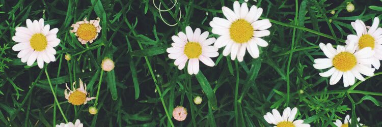 super_nat19's profile banner image