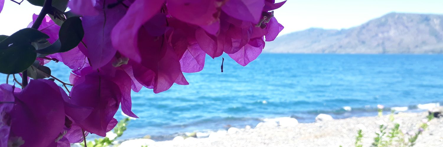 _Satoshi223's profile banner image