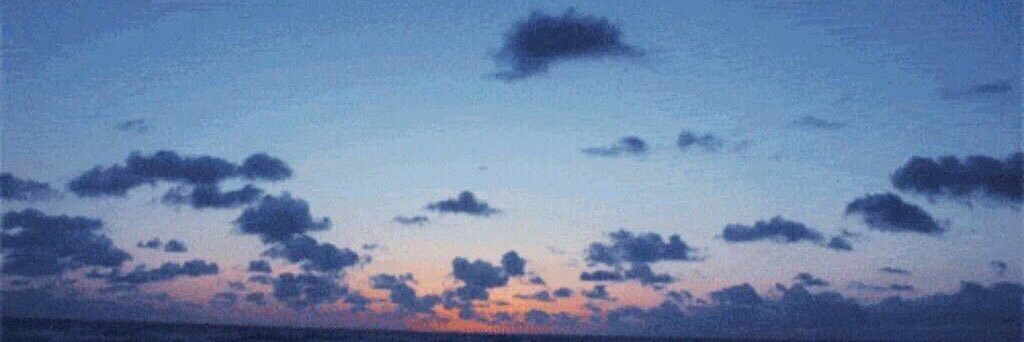 drsummerh23's profile banner image