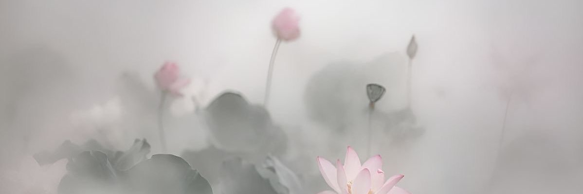 dhyessir's profile banner image