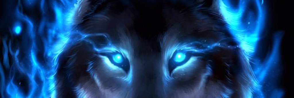 legenderywolf12's profile banner image