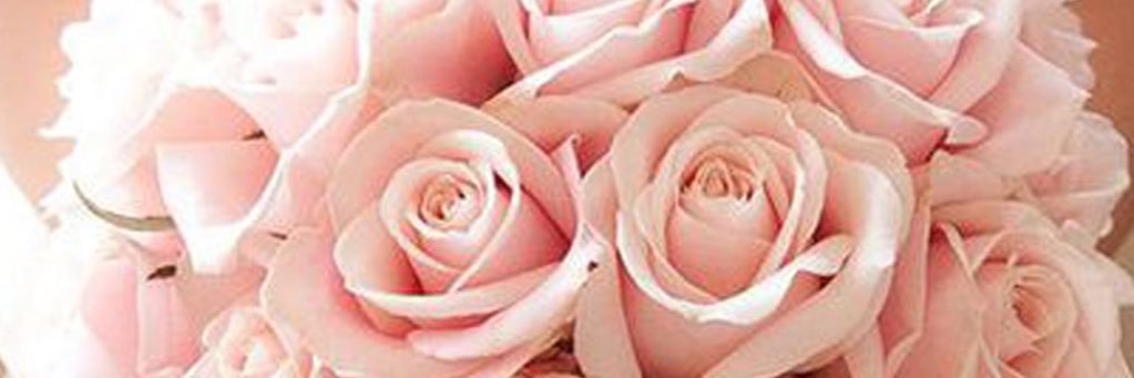 AlansariAmani's profile banner image