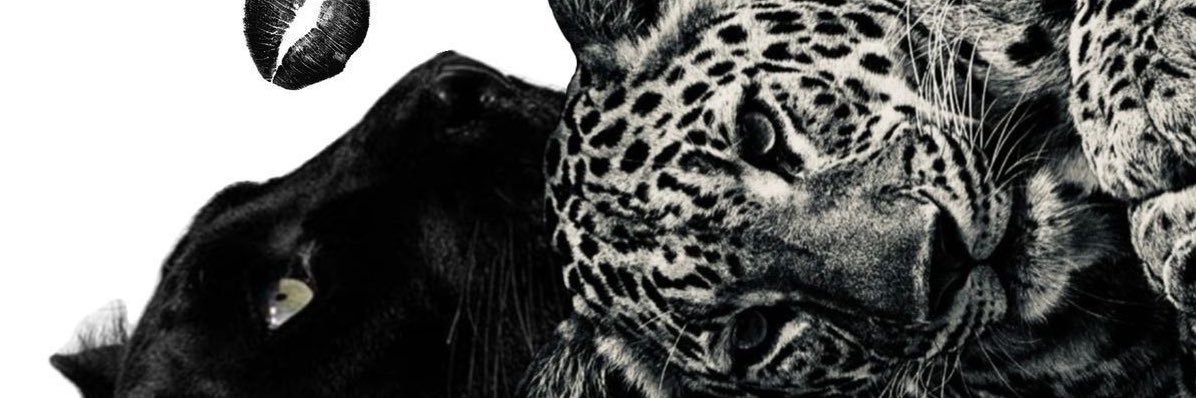MariaMldz31's profile banner image