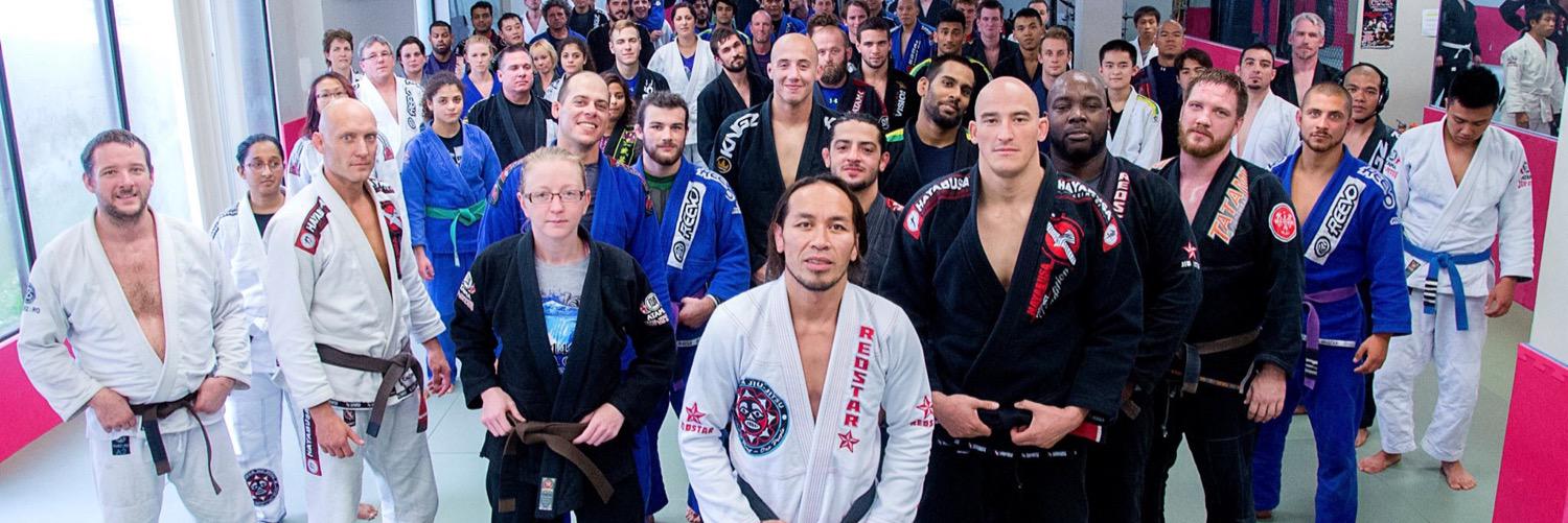 Modern Vision MMA banner