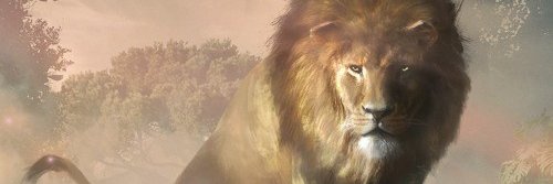 Lion King banner