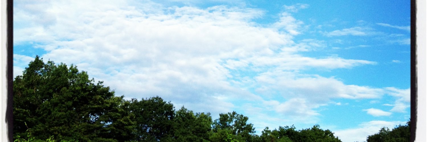 tochukaoru's profile banner image