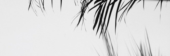 katekbp's profile banner image