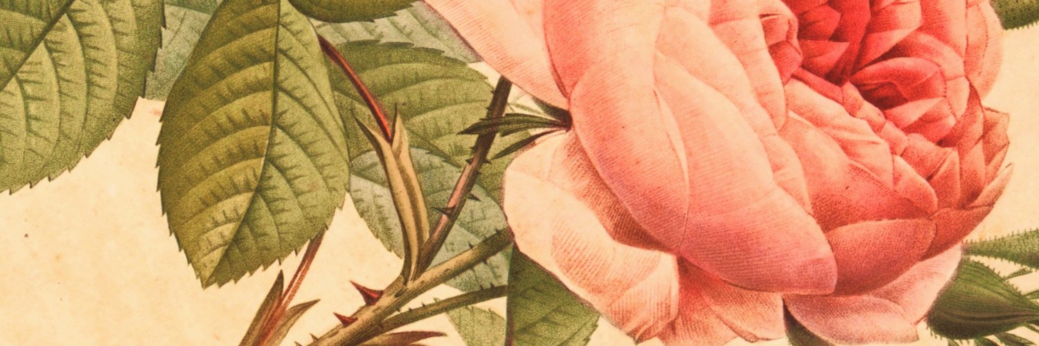 NotMyNathan's profile banner image