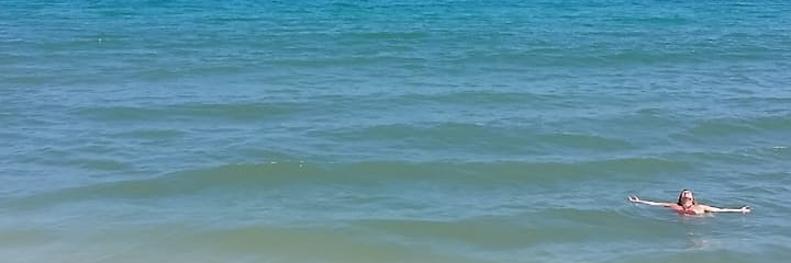 fernandapontual's profile banner image